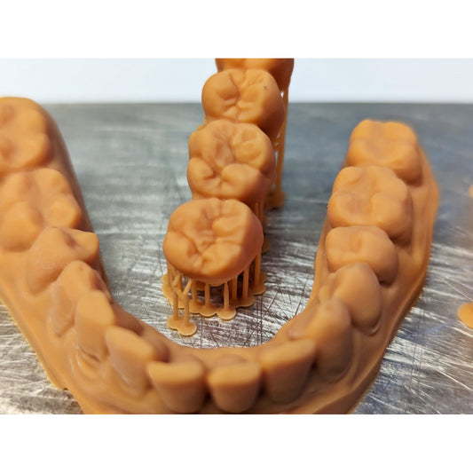 Blue Dental Fast Dental Model